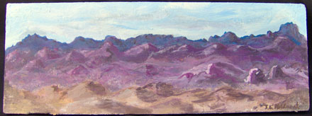 view south of Lake Havasu view south of Lake Havasu